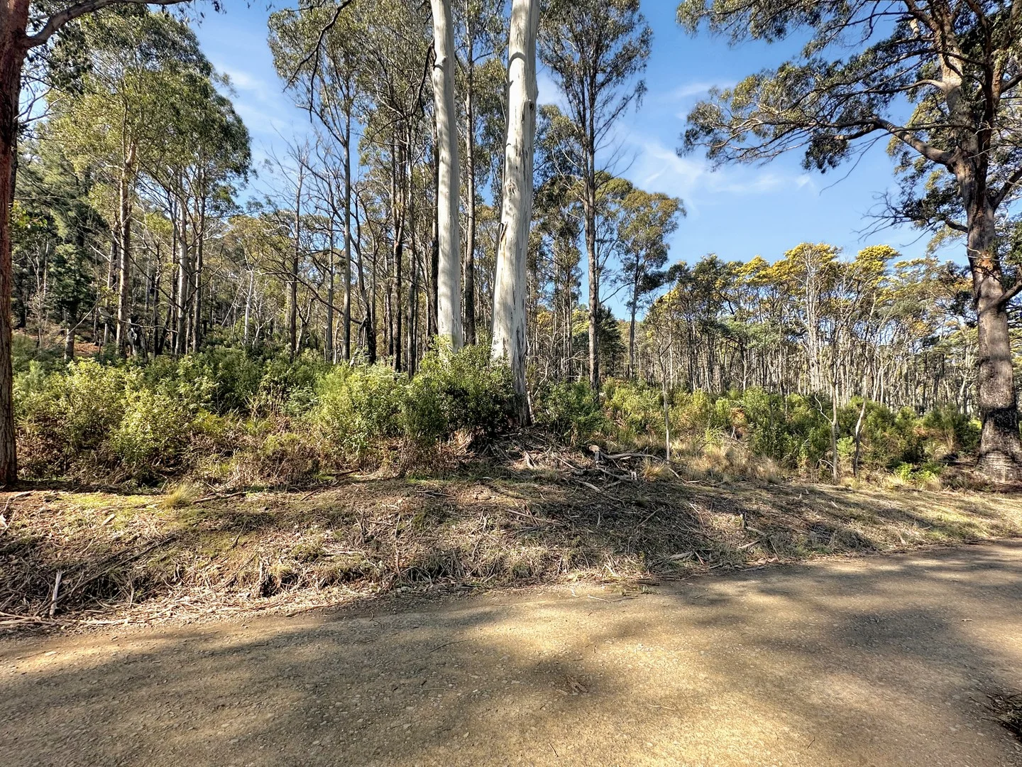 Additional image 2 of Lot 5 Gardiners Creek Road, St Marys TAS 7215