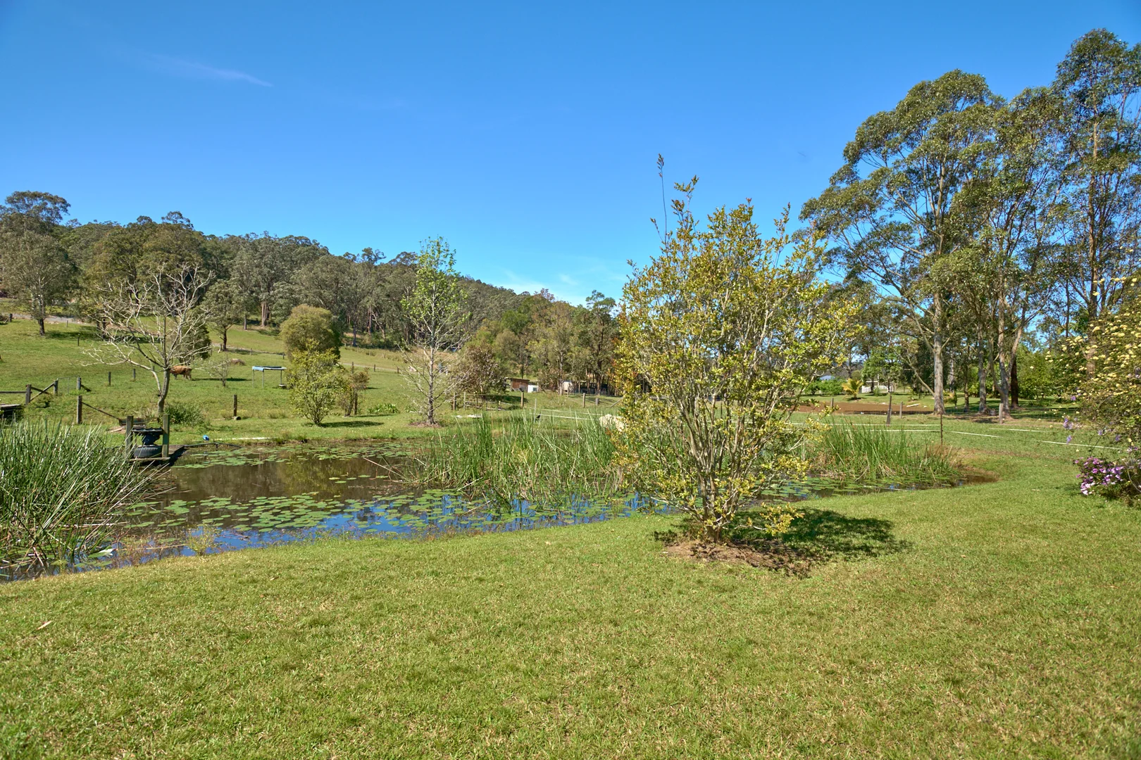 Additional image 22 of 48 Markwell Back Road, Bulahdelah NSW 2423