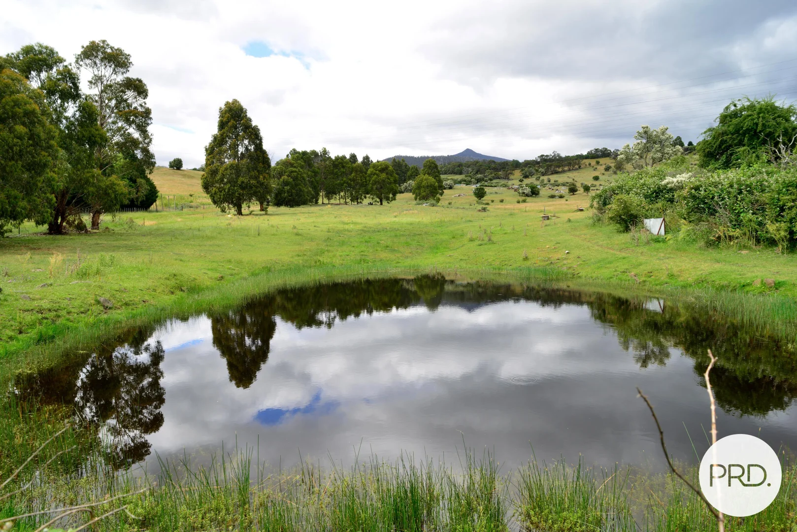 Additional image 5 of 244 Molesworth Road, Molesworth TAS 7140