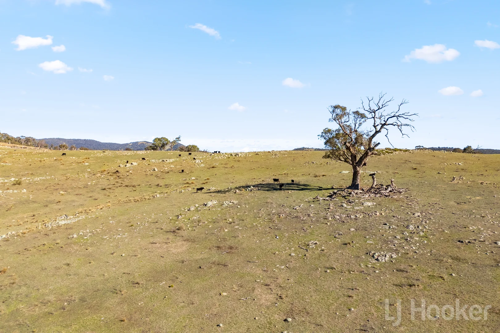 Additional image 14 of 877 Urila Road, Urila NSW 2620