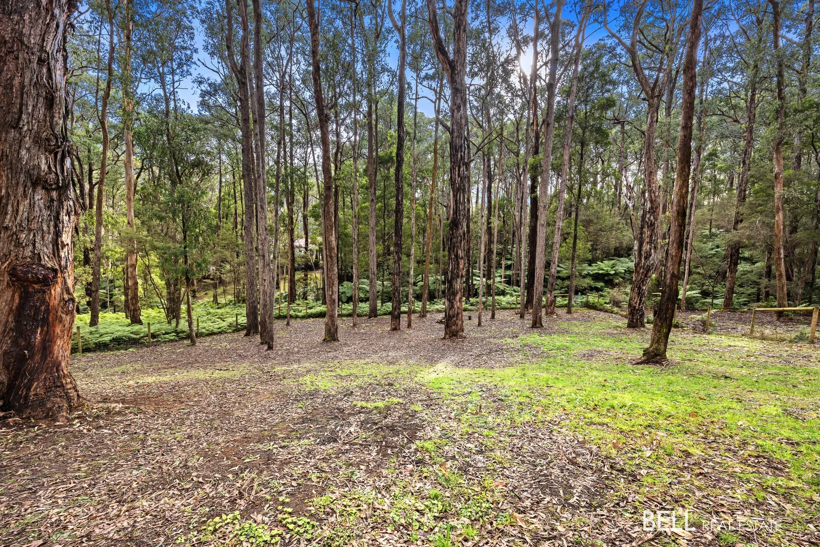 Additional image 3 of 15 Lyrebird Avenue, East Warburton VIC 3799