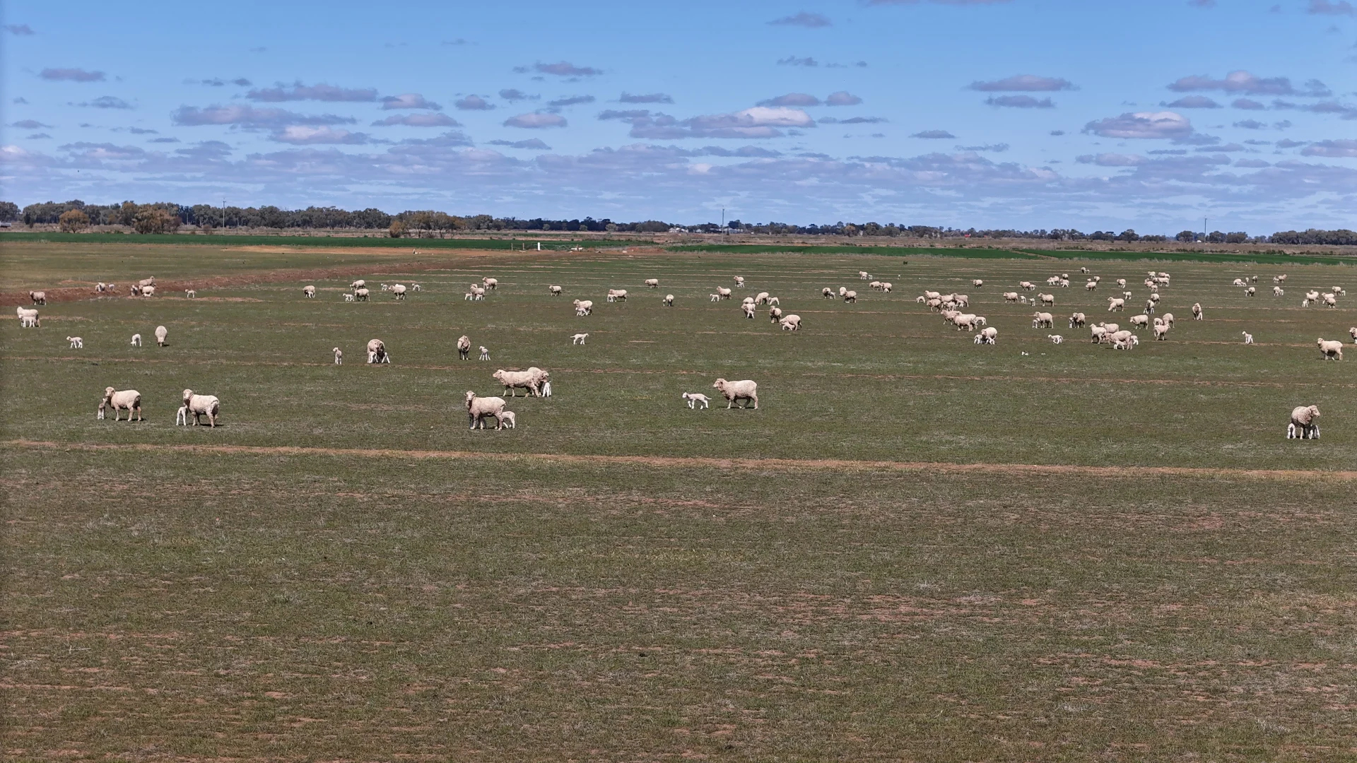 Additional image 17 of Farm 2526/408 Cashmere Road, Widgelli NSW 2680