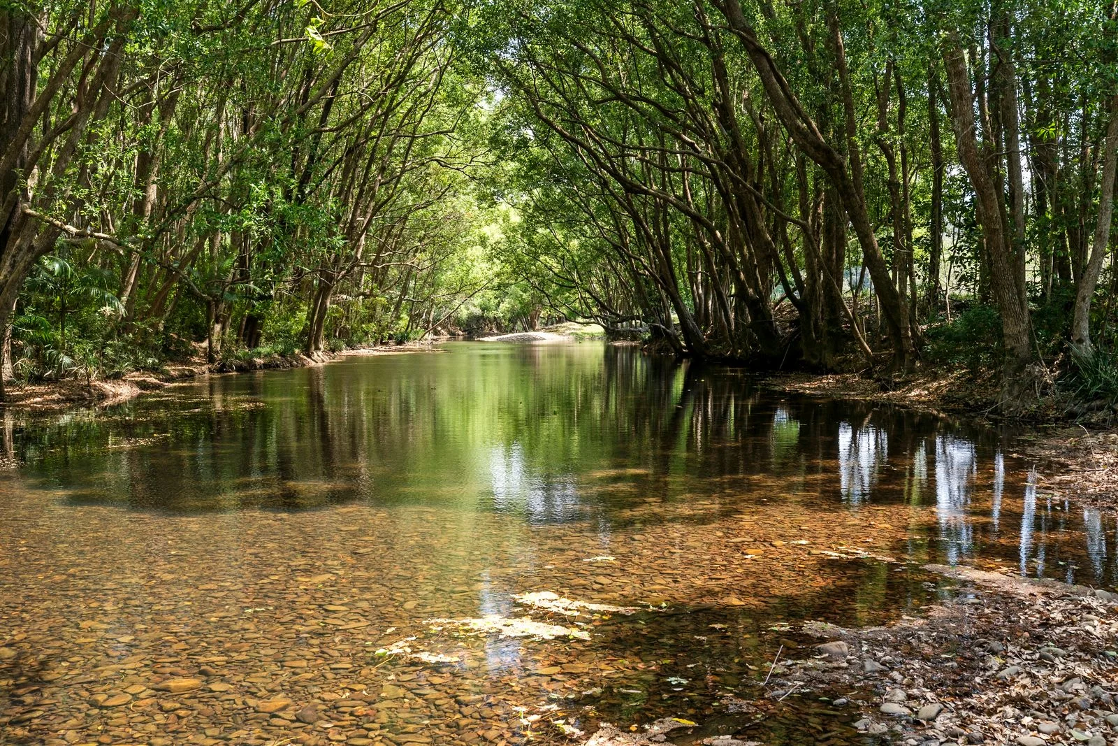 981 Numinbah Road, Crystal Creek NSW 2484