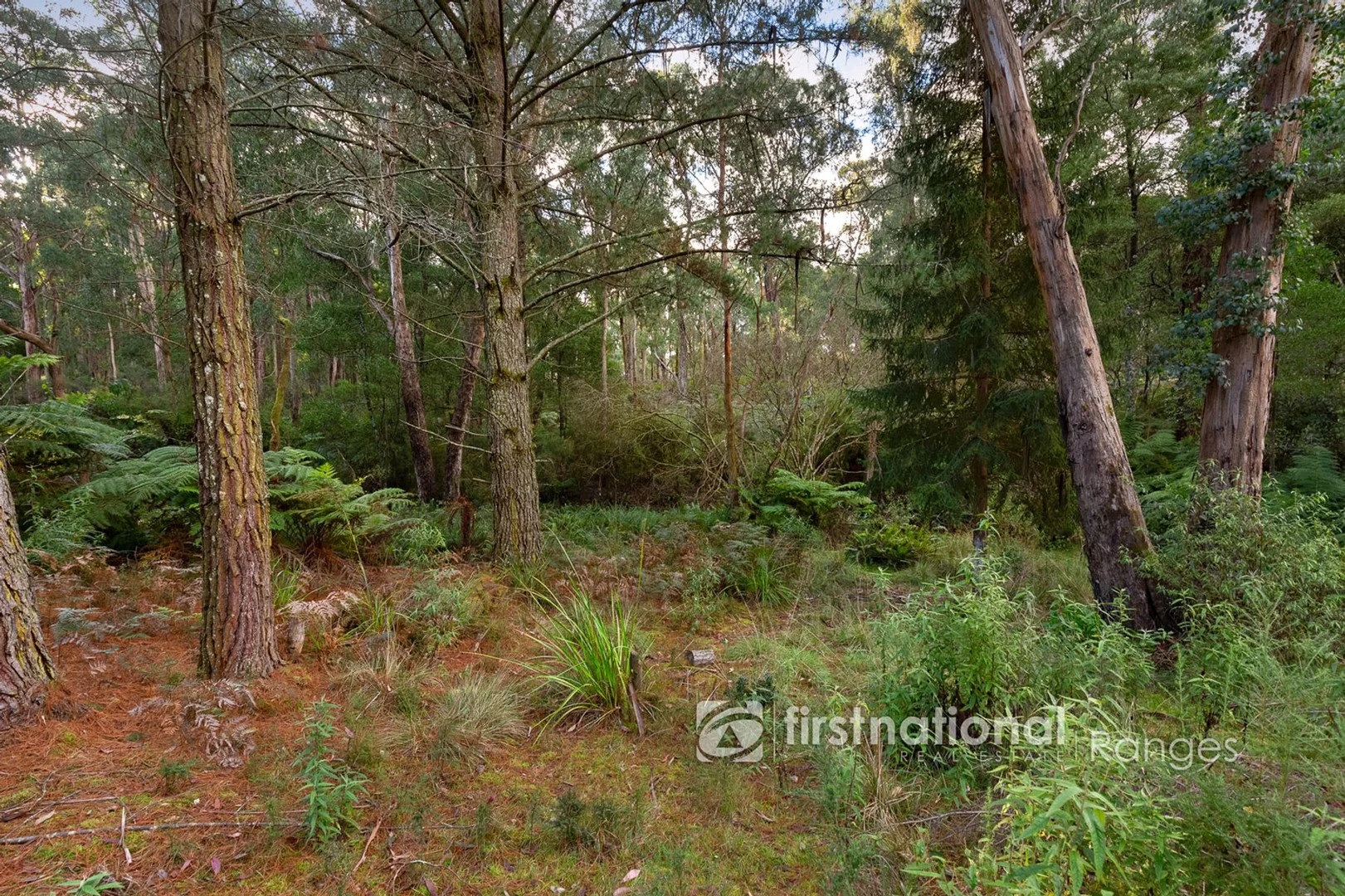 Additional image 11 of 31 Coulson Road, Monbulk VIC 3793