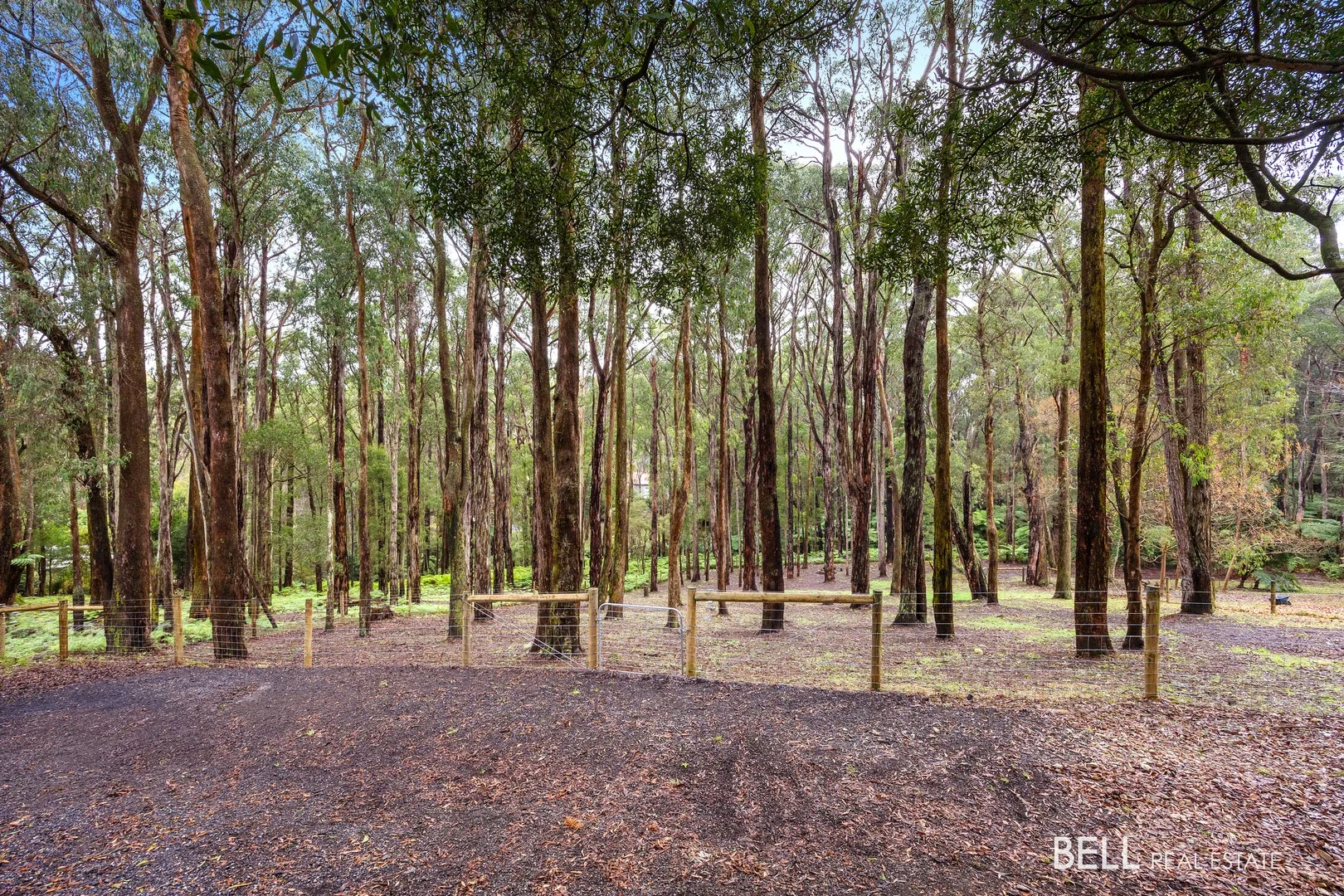 15 Lyrebird Avenue, East Warburton VIC 3799