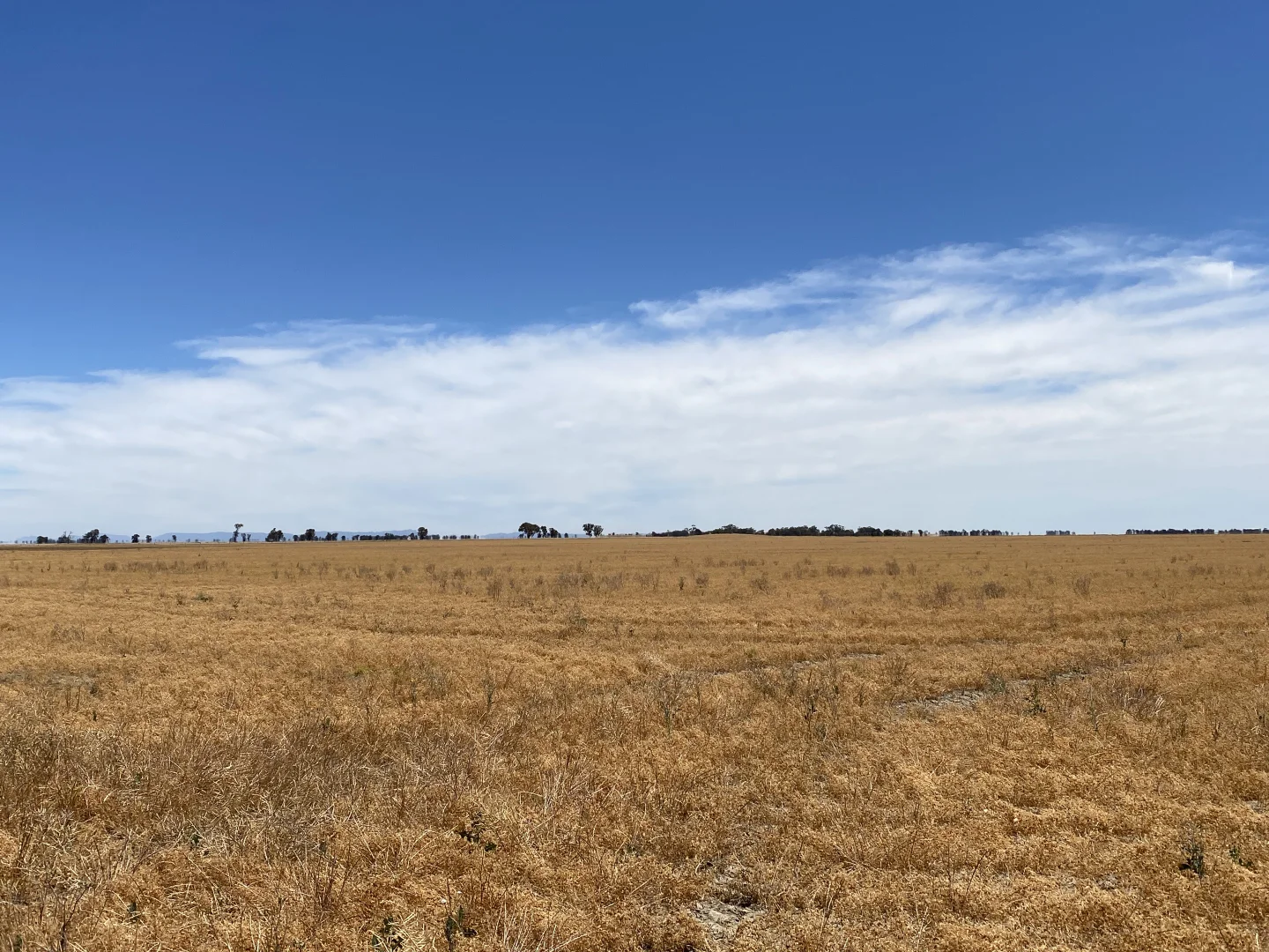 Additional image 5 of Banyena VIC 3388