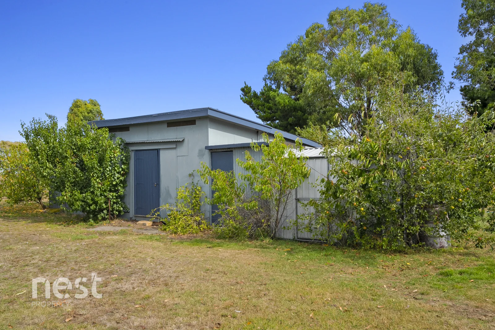 Additional image 13 of 6 Whynyates Street, Oatlands TAS 7120