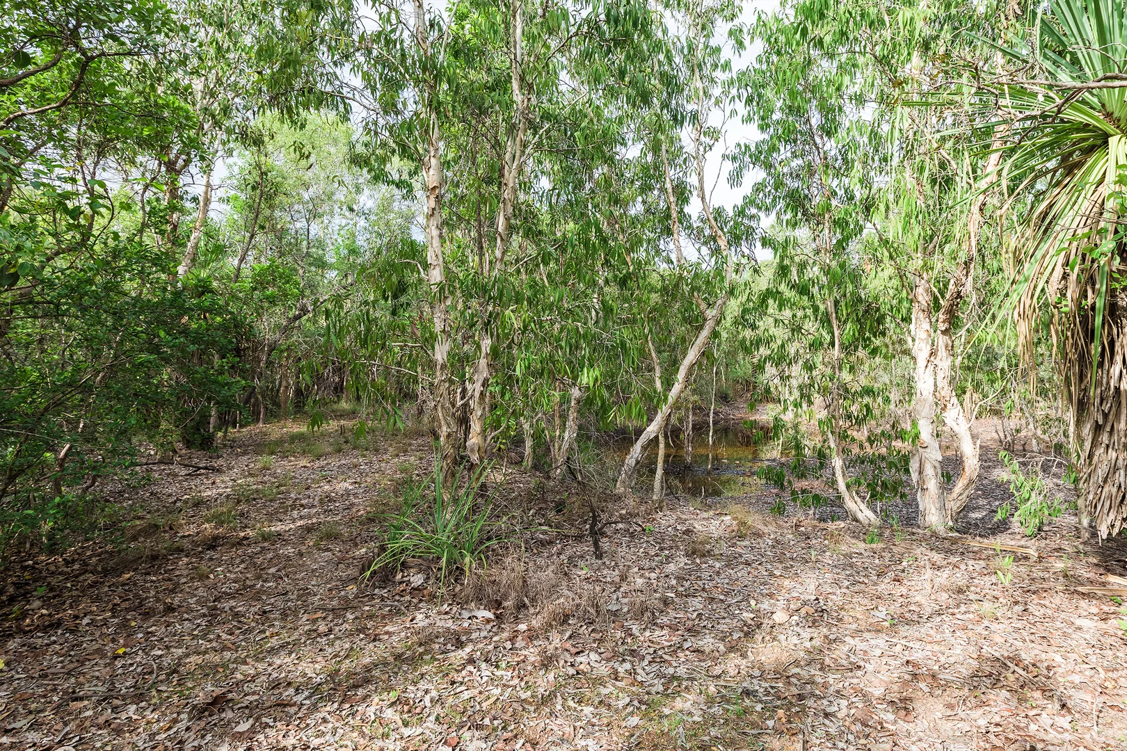 Additional image 13 of 56 Dowling Rd, Virginia NT 0834