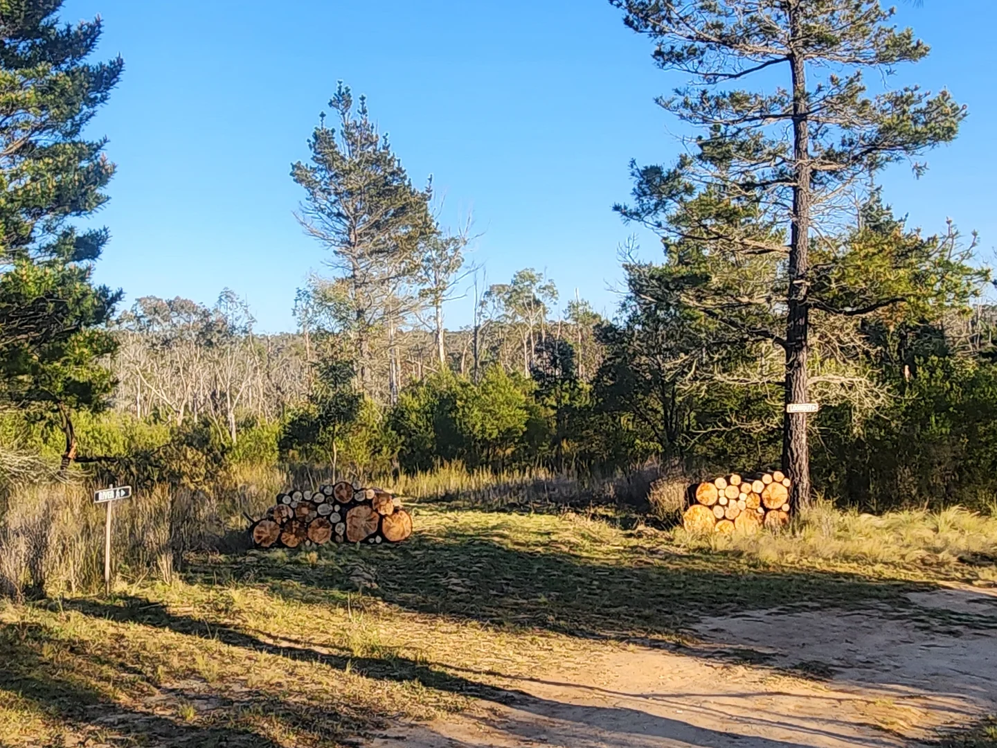 Additional image 19 of 480 Tall Timbers Road, Tomboye NSW 2622