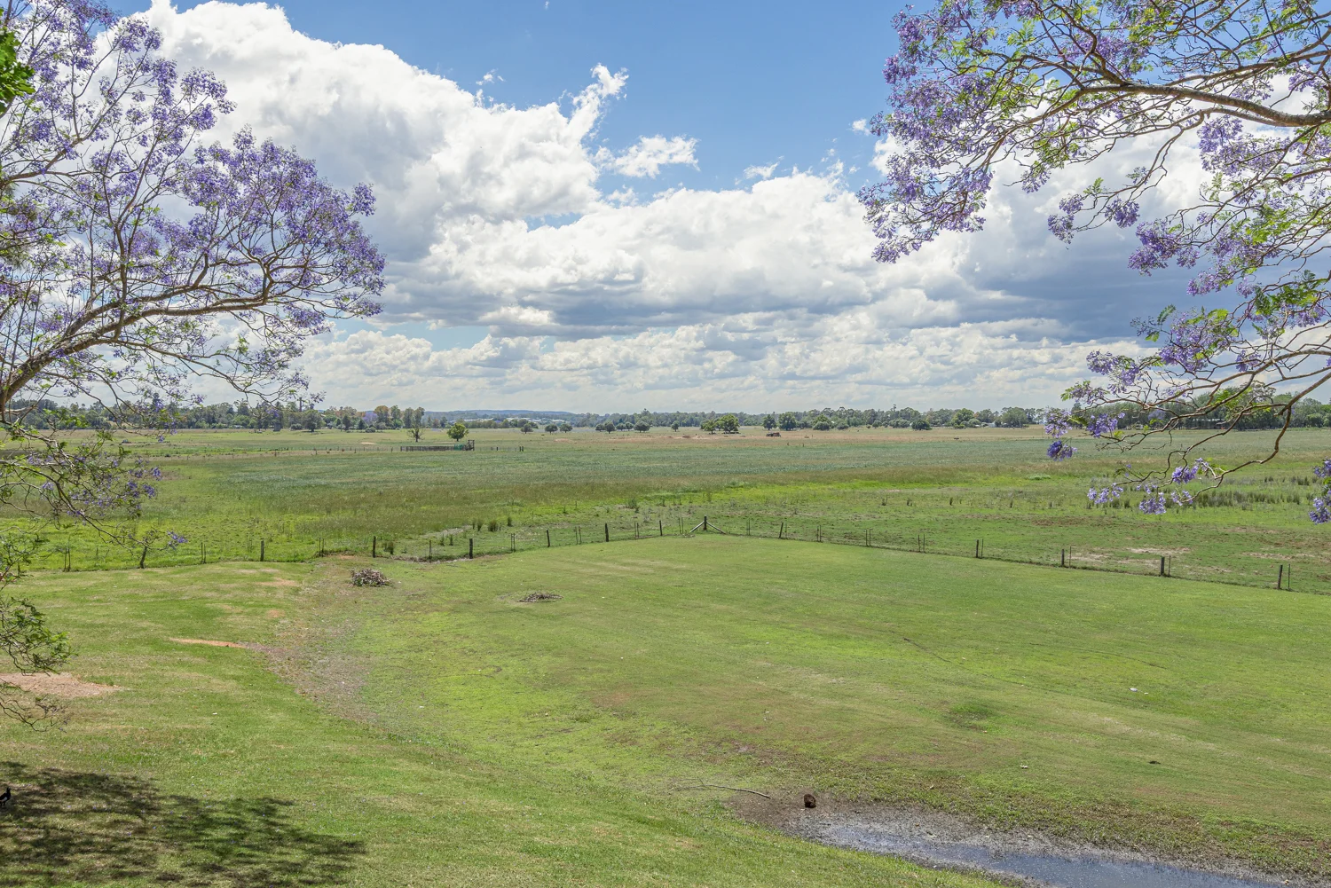 Additional image 27 of 110 Mount Pleasant Street, Maitland NSW 2320