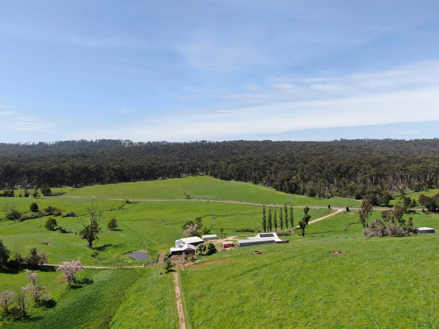 Additional image 29 of 365 Limonite Road, Boolarra South VIC 3870