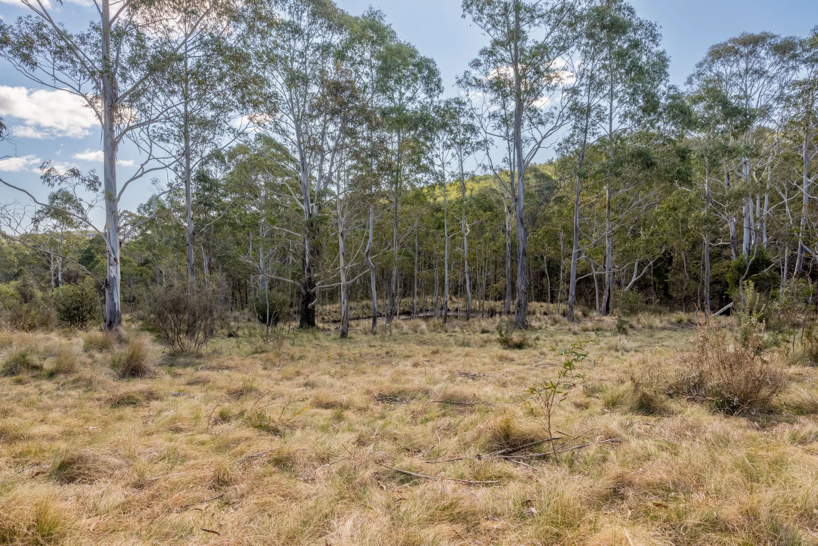 Additional image 18 of 153 Blue Bush Road, Wyanbene NSW 2622