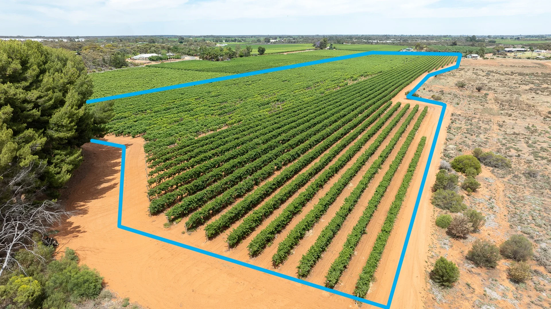 Lot 11 Battams Road, Glossop SA 5344