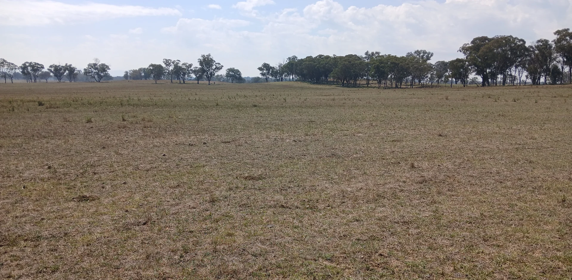 Additional image 3 of Bundarra NSW 2359