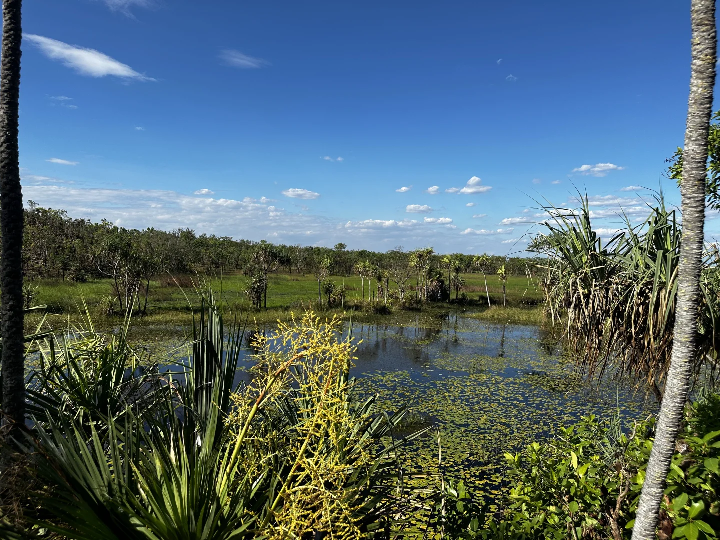 Additional image 11 of Darwin River NT 0841