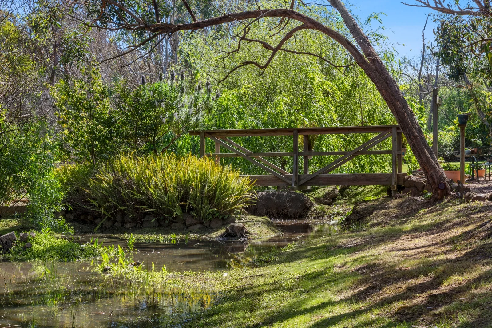 Additional image 22 of 97 Coombes Road, Torquay VIC 3228