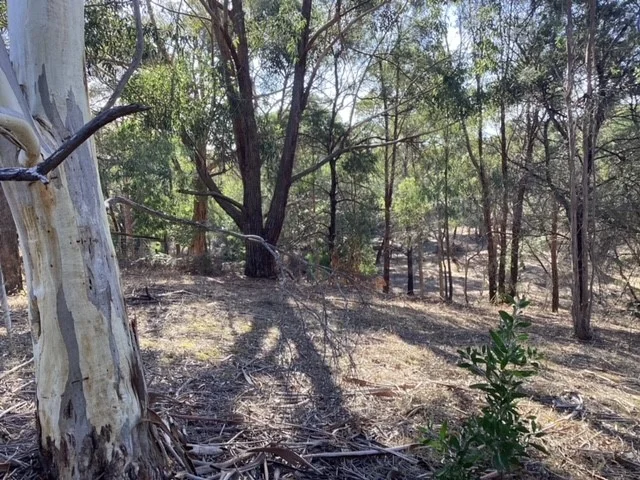 Additional image 9 of Lot 25 (26 Hewitts Road, Linton VIC 3360