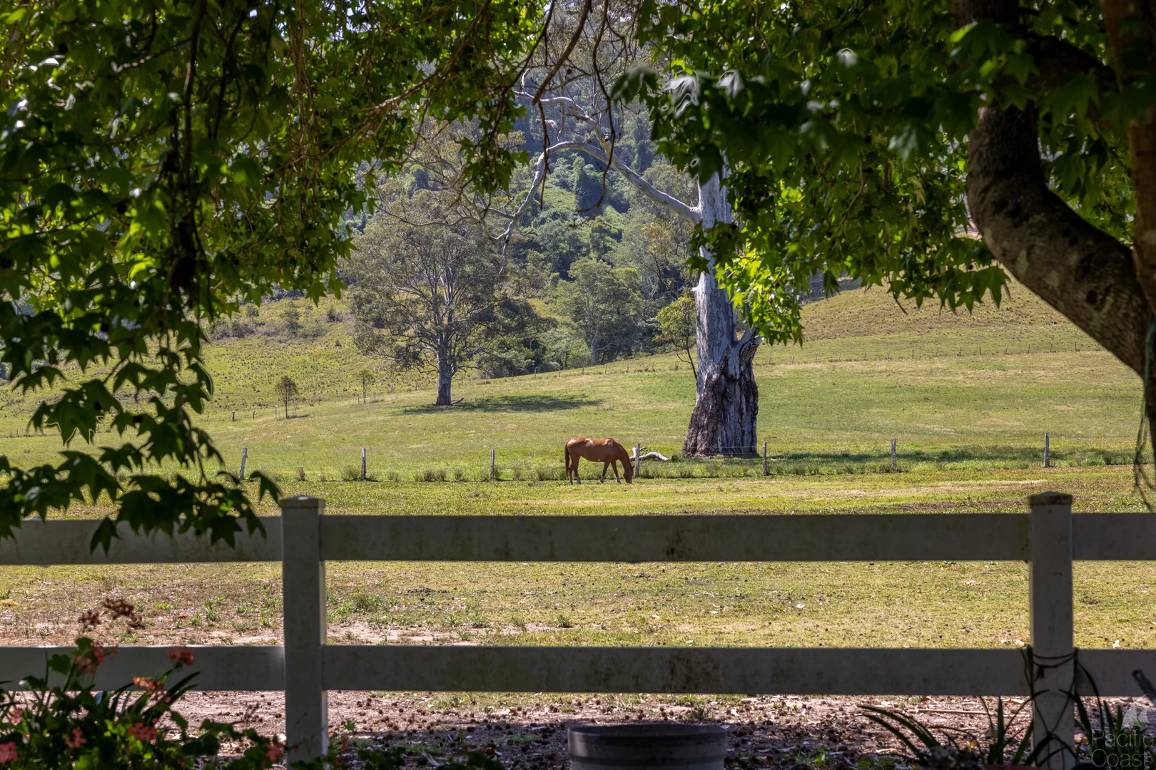 Additional image 4 of 34 Glacier Lane, Nabiac NSW 2312