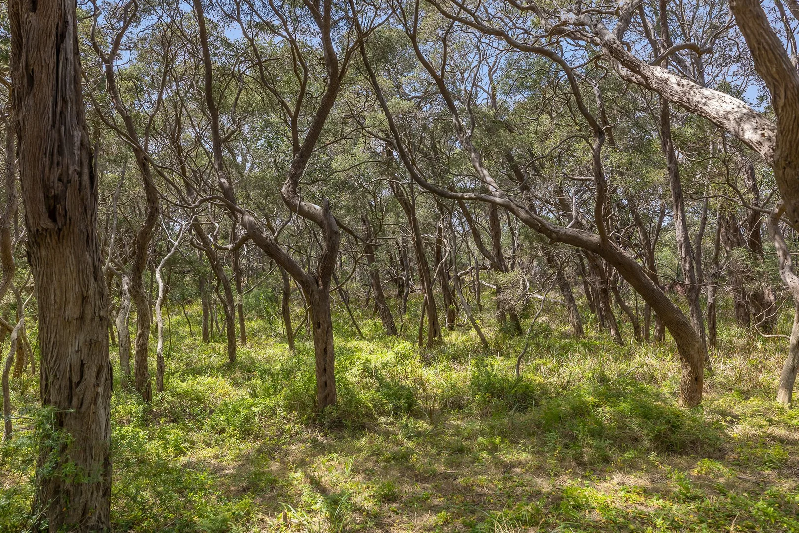 Additional image 30 of 57-73 Glaneuse Road, Point Lonsdale VIC 3225