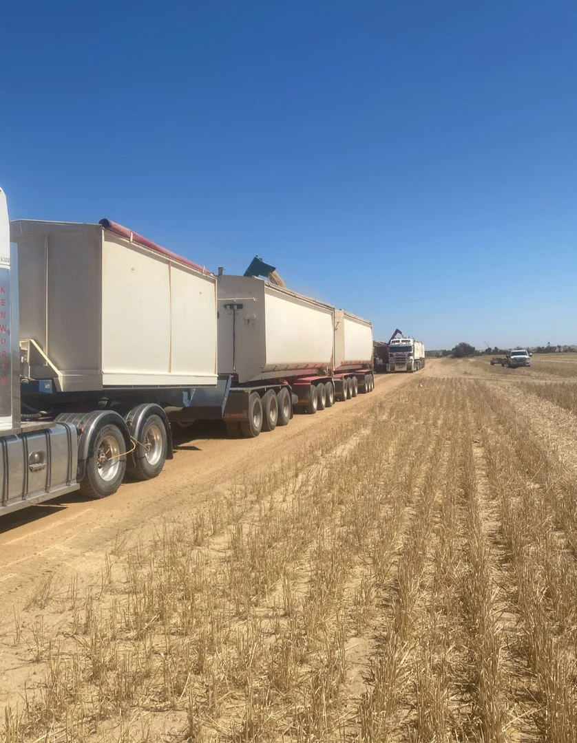 Additional image 22 of Valentine Road, Wicherina WA 6532