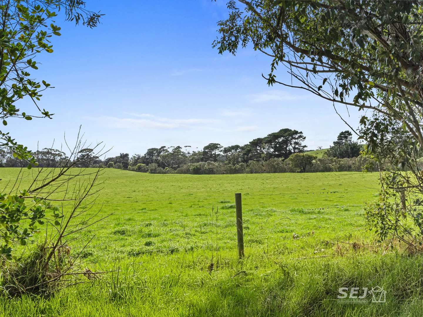Additional image 17 of 115 Buffalo-Stony Creek Road, Buffalo VIC 3958