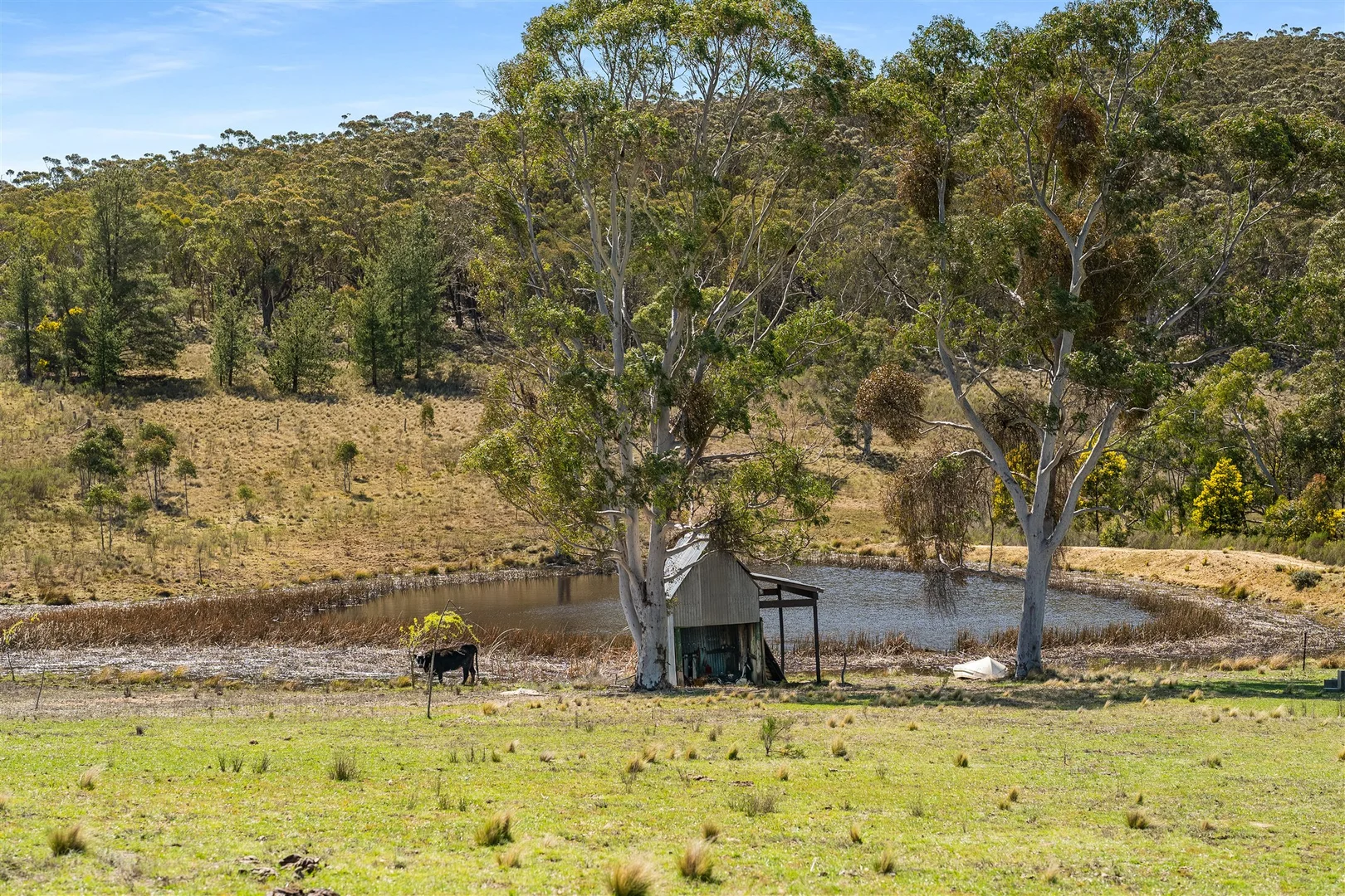 Additional image 27 of 593 Forest Siding Road, Middle Arm NSW 2580