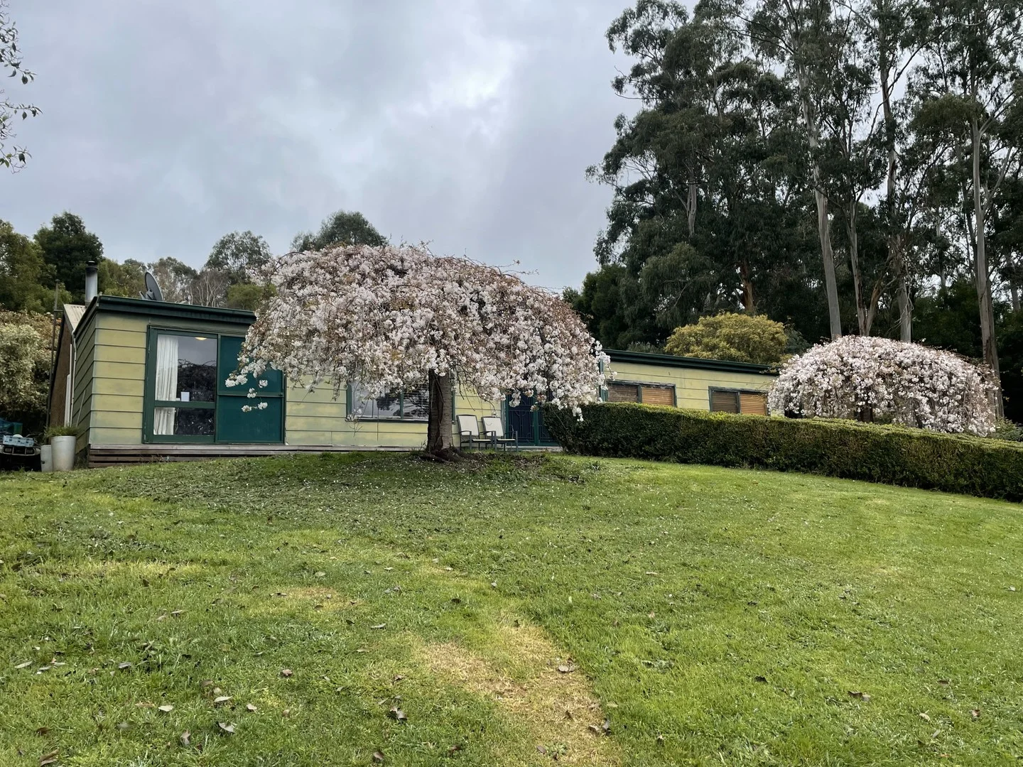 Additional image 2 of 43 Johnsons Lane, Willung South VIC 3847