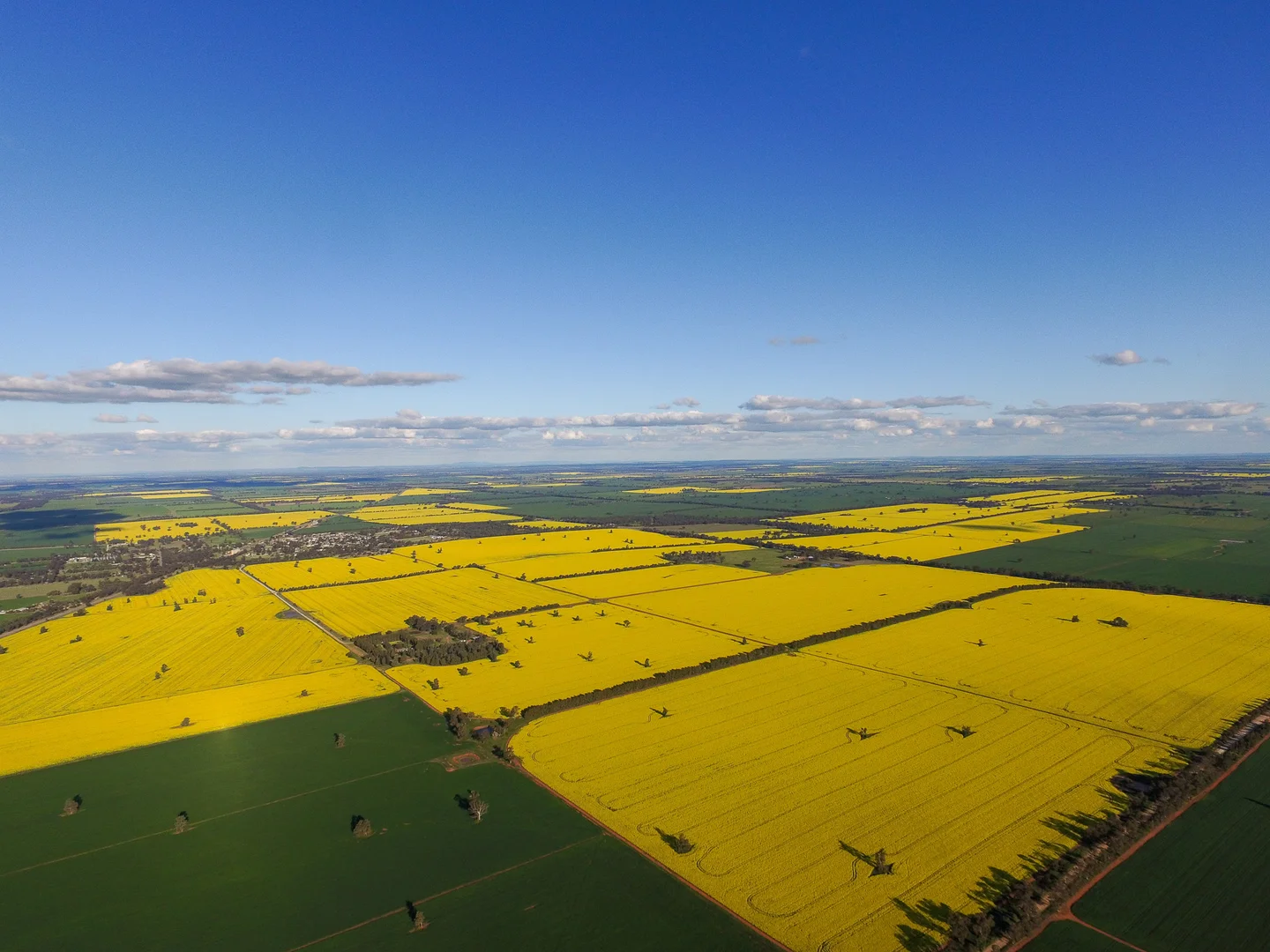 Additional image 24 of Weise Aggregation, Beckom, Ardlethan,, Ariah Park NSW 2665