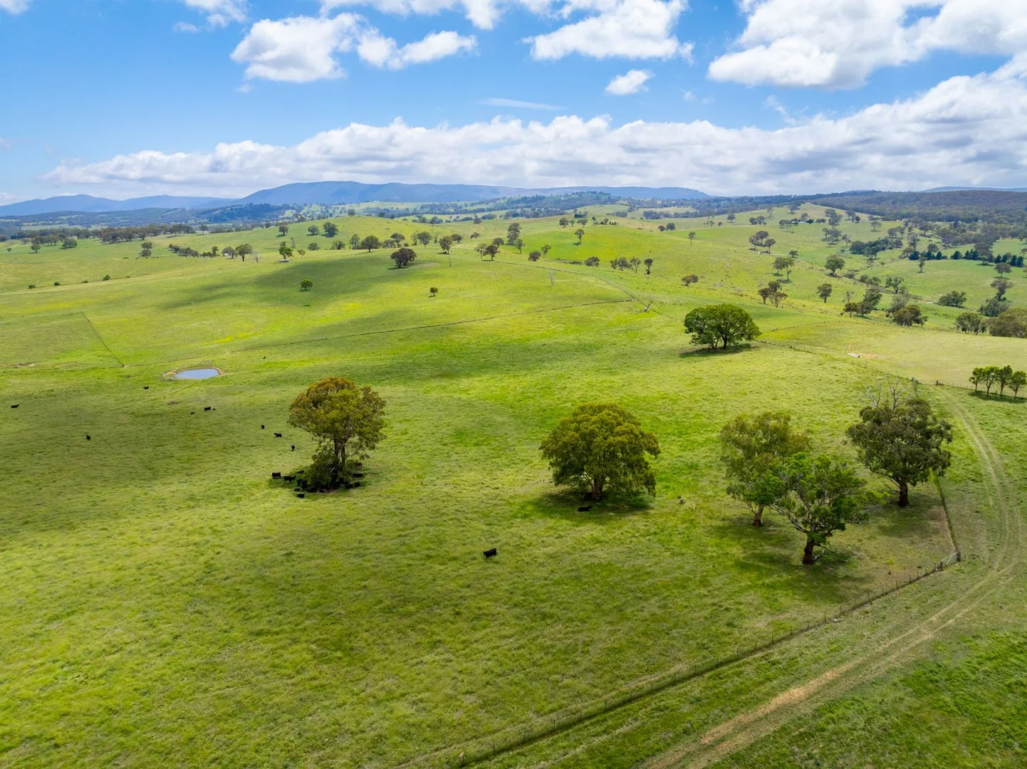 Additional image 32 of 188 Burkes Lane, Brewongle NSW 2795