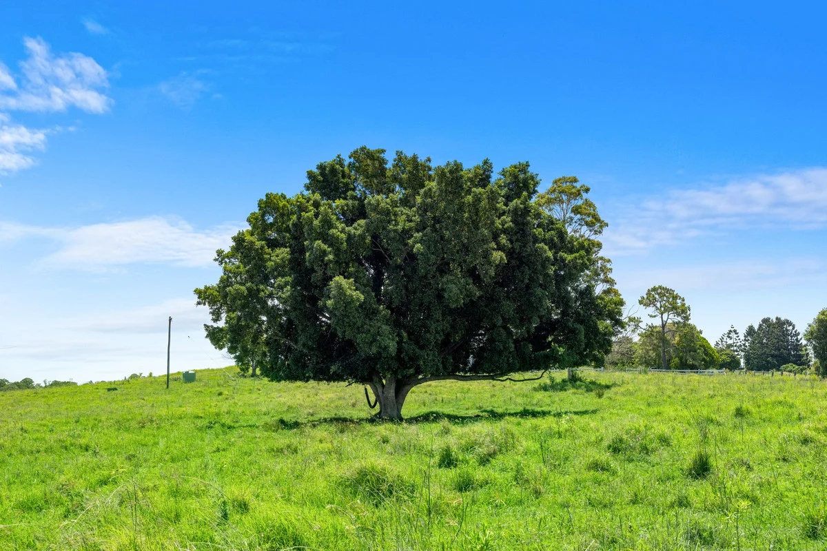 Additional image 29 of 1020 Bruxner Highway, McKees Hill NSW 2480