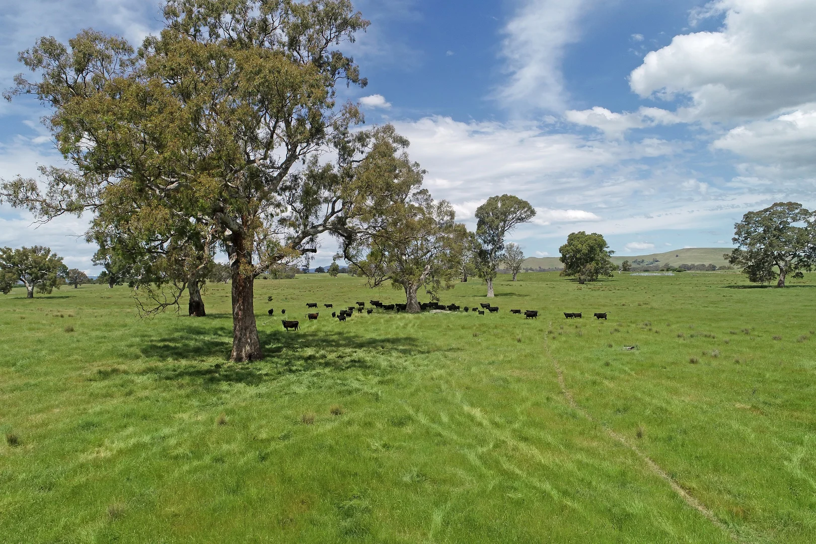 Additional image 3 of 3 Carlisle Hill Road, Mansfield VIC 3722