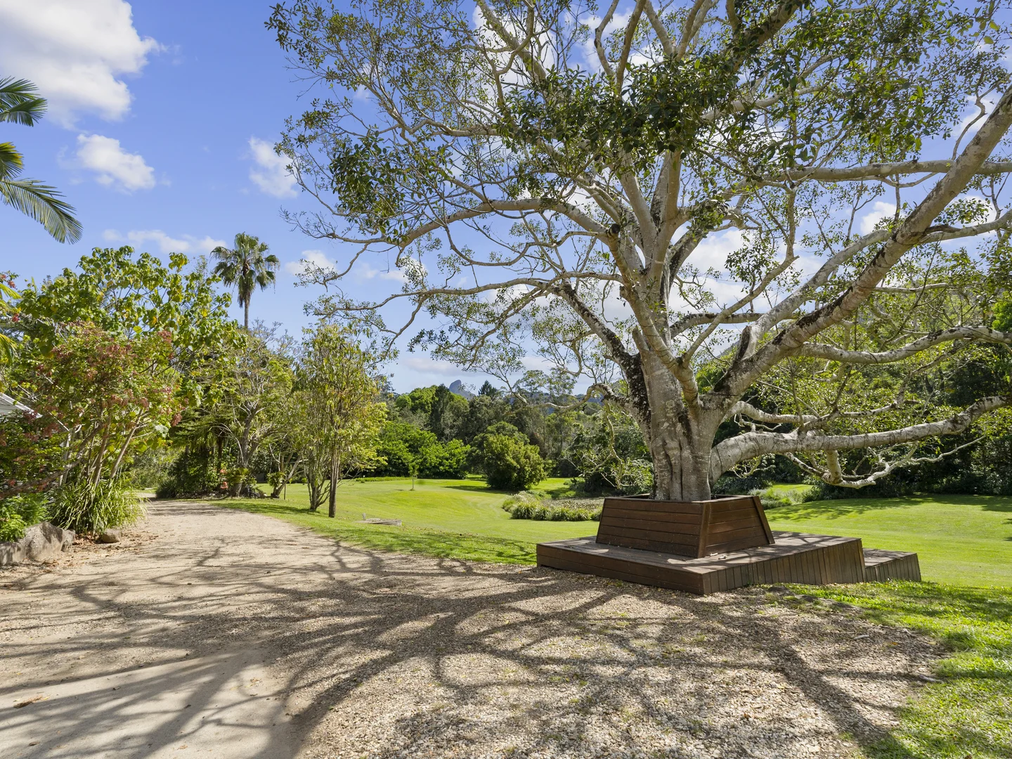 Additional image 8 of 64 Mount Warning Road, Mount Warning NSW 2484