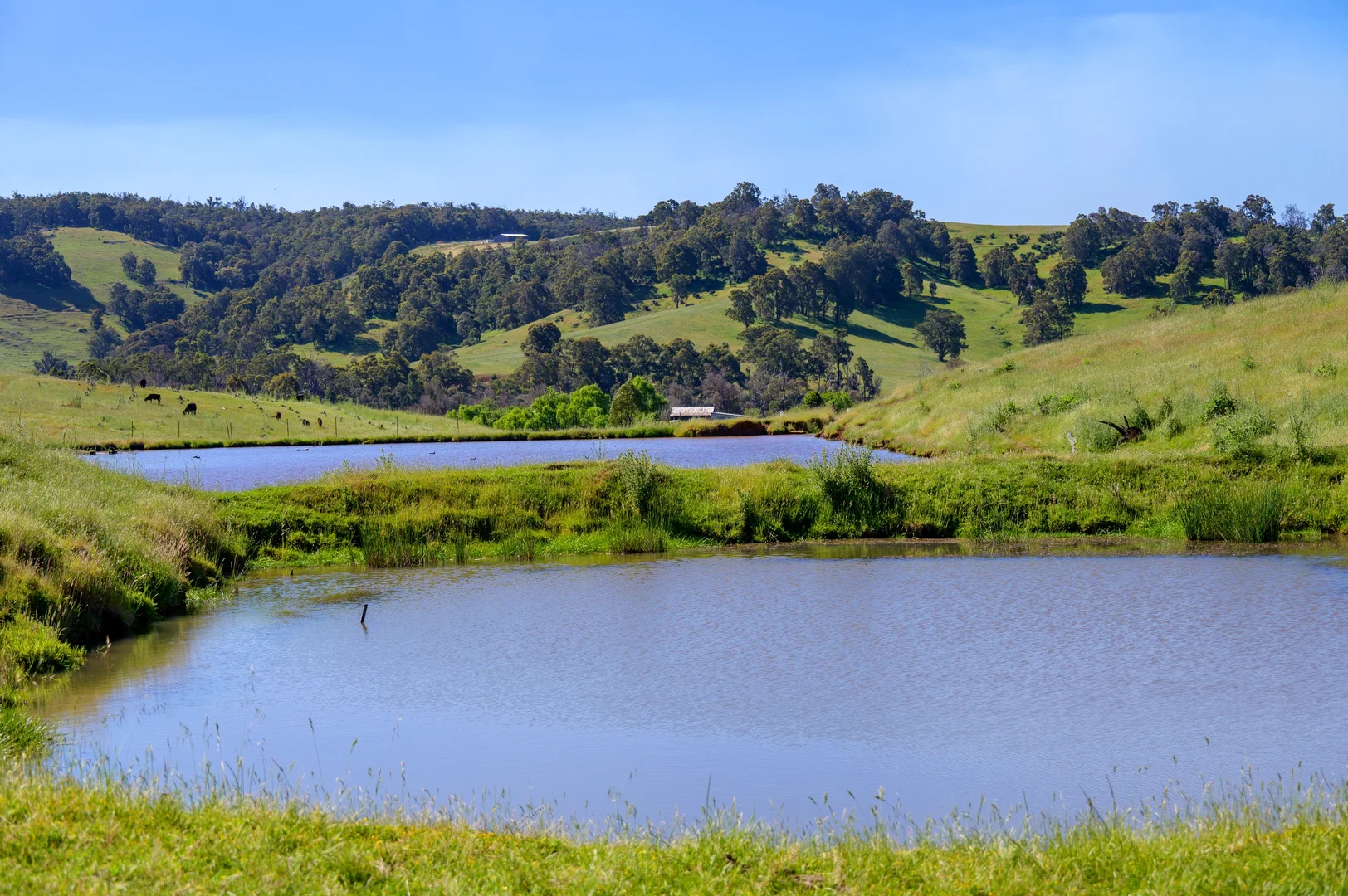 Additional image 4 of 305 & Lot 8138 Balingup-Nannup Road, Balingup WA 6253