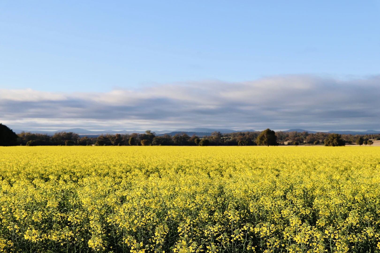 Additional image 24 of 1676 Willala Road, Boggabri NSW 2382