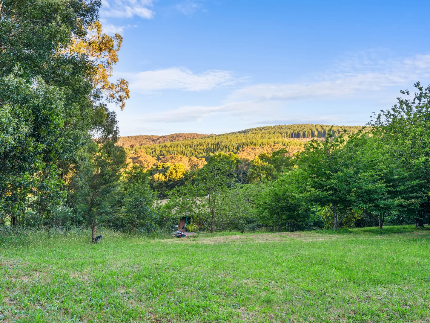 Additional image 27 of 43 Johnsons Lane, Willung South VIC 3847