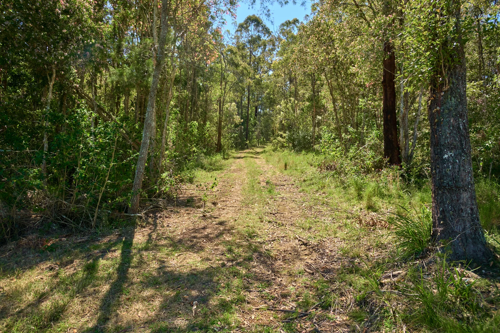 Additional image 30 of 898 Markwell Back Road, Markwell NSW 2423