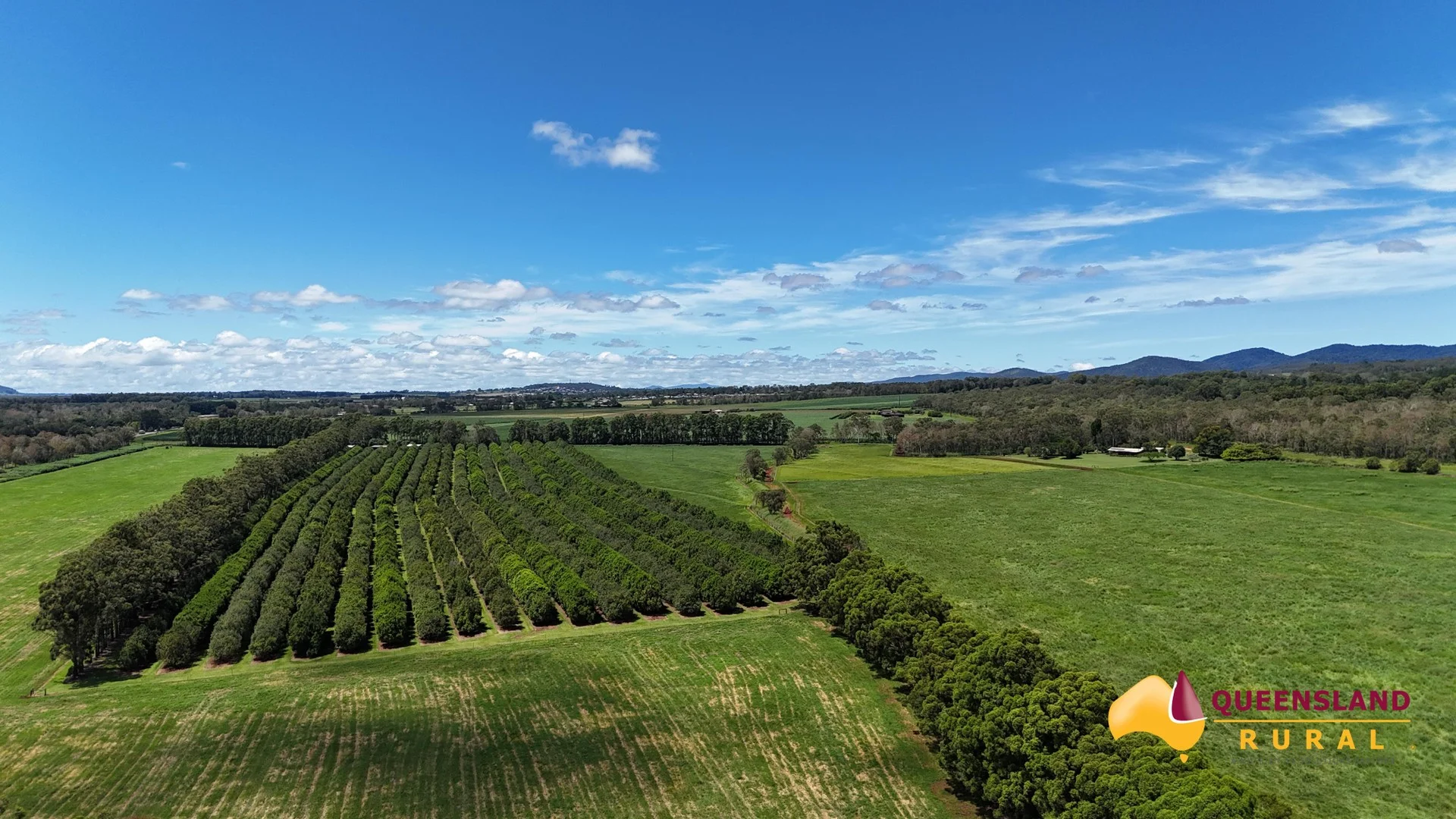 Banchio Road, Tolga QLD 4882