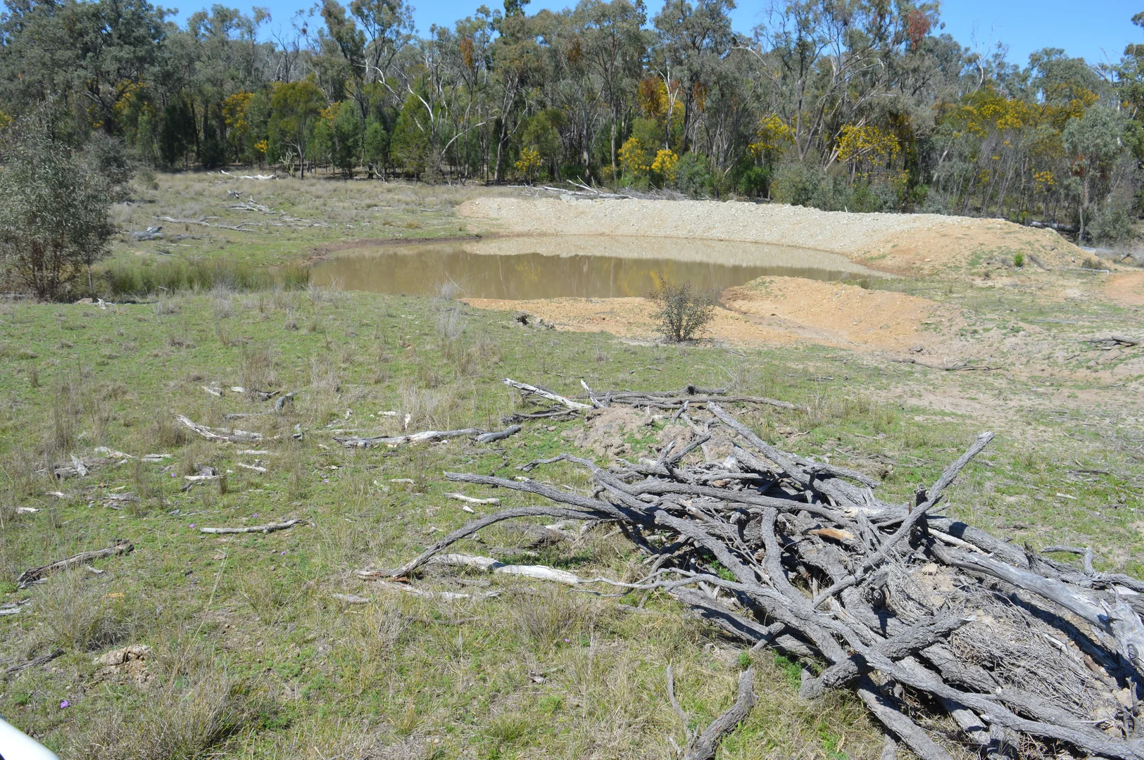 Additional image 14 of 3094 Mosquito Creek Road, Mosquito Creek QLD 4387
