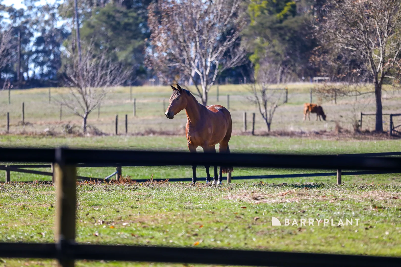 Additional image 12 of 28 Roches Road, Trafalgar VIC 3824