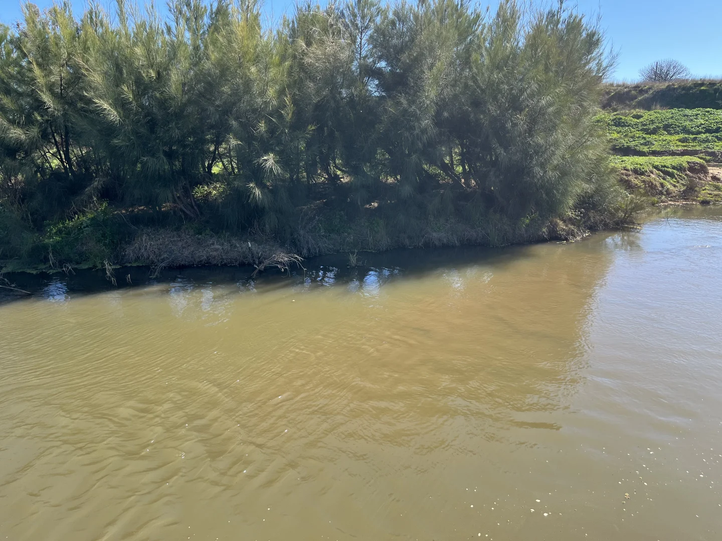 Additional image 25 of "Piambra" 714 Piambra Road, Binnaway NSW 2395