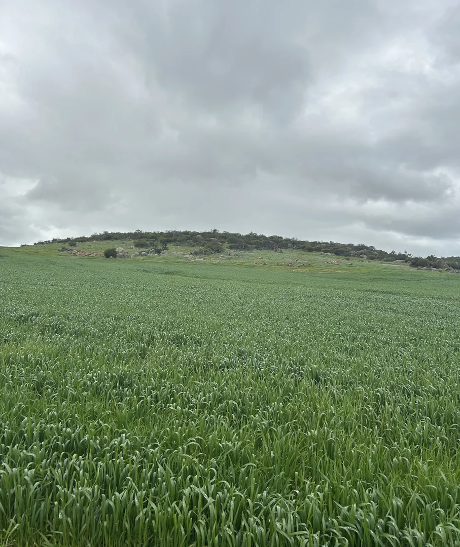 Additional image 11 of Lot 65 Forrester Road, Mount Erin WA 6532