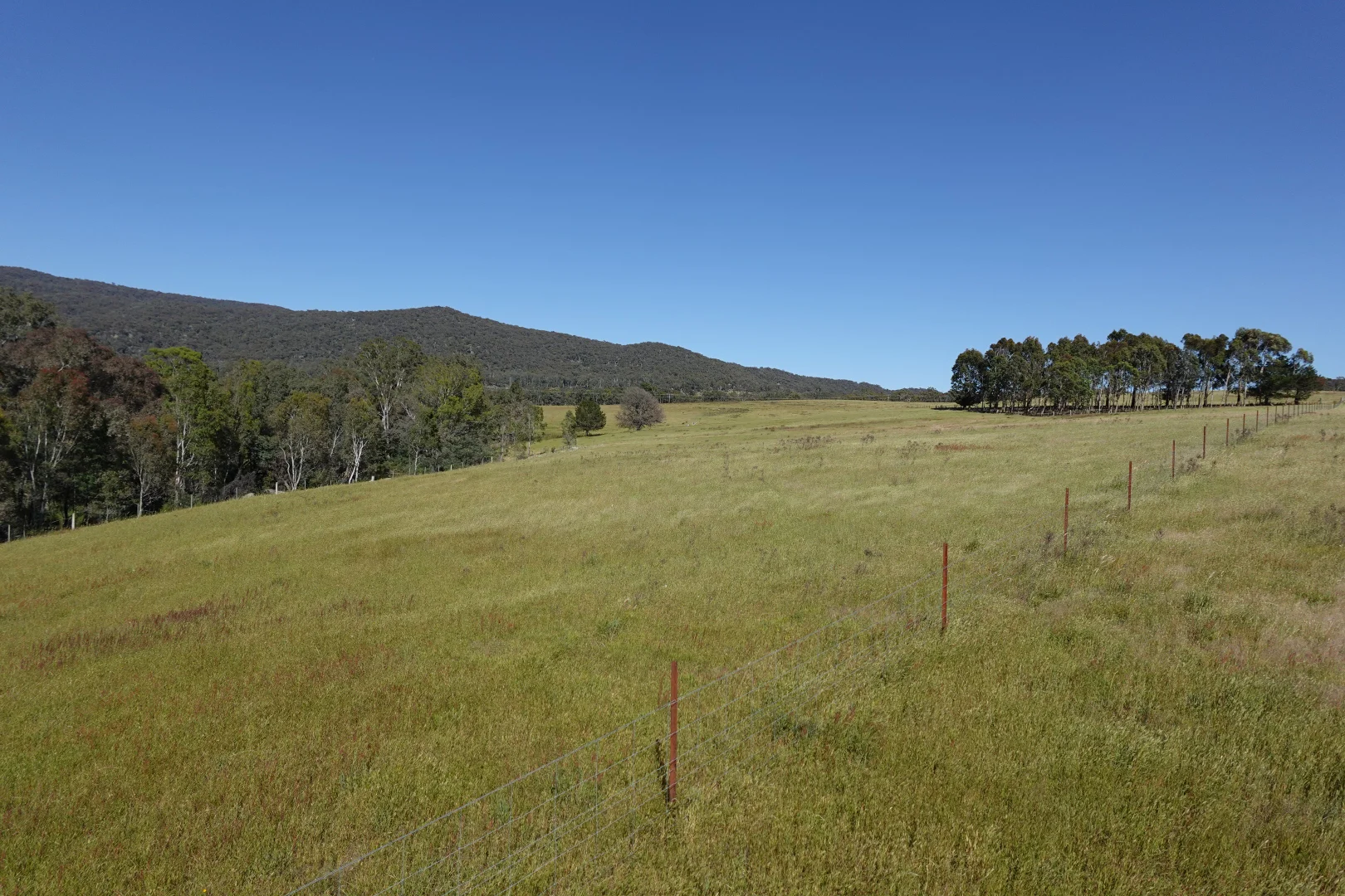 Additional image 9 of 2985 Midland Highway, Lima South VIC 3673