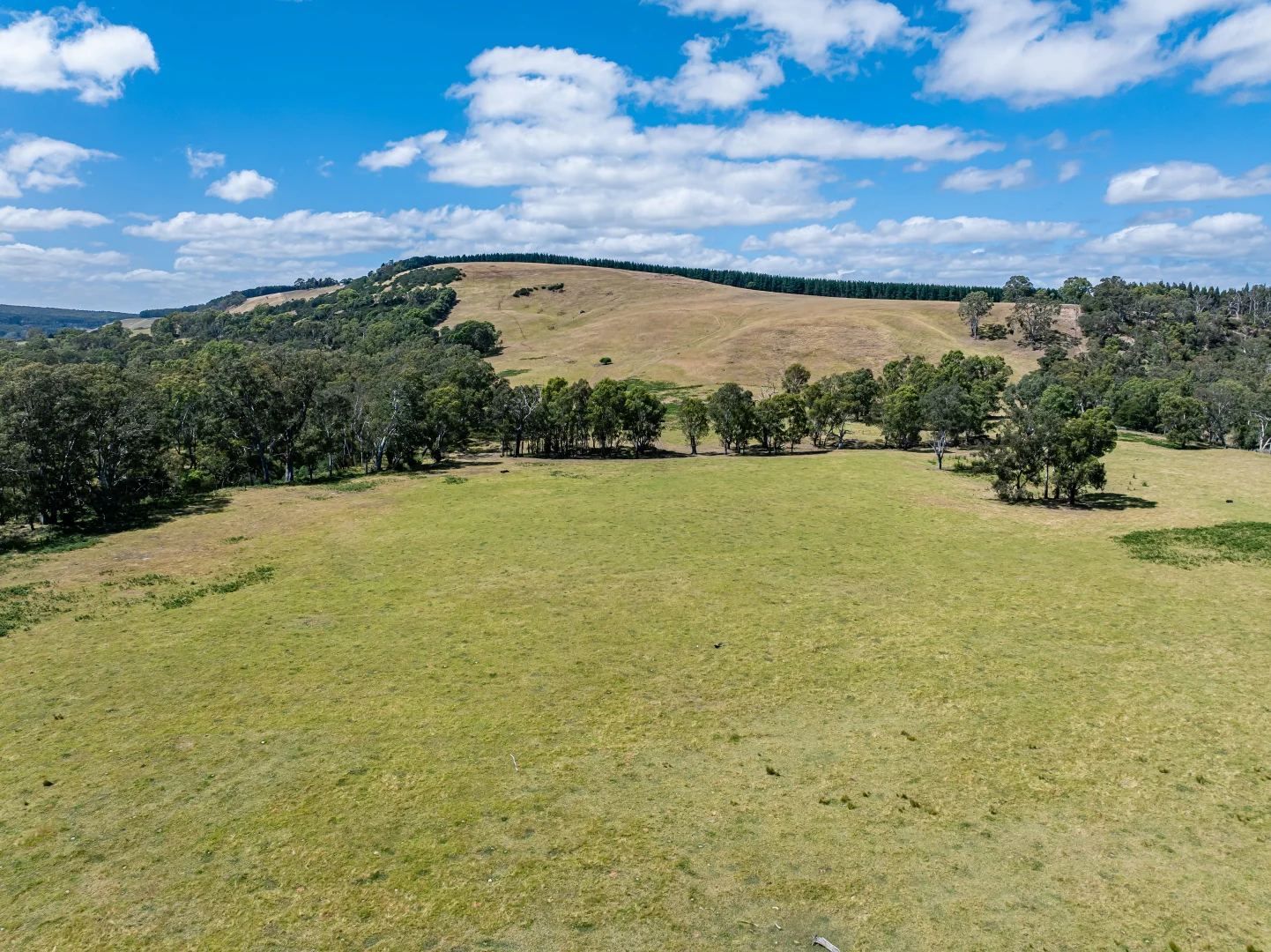 Additional image 9 of 93 The Bluff Road, Casterton VIC 3311