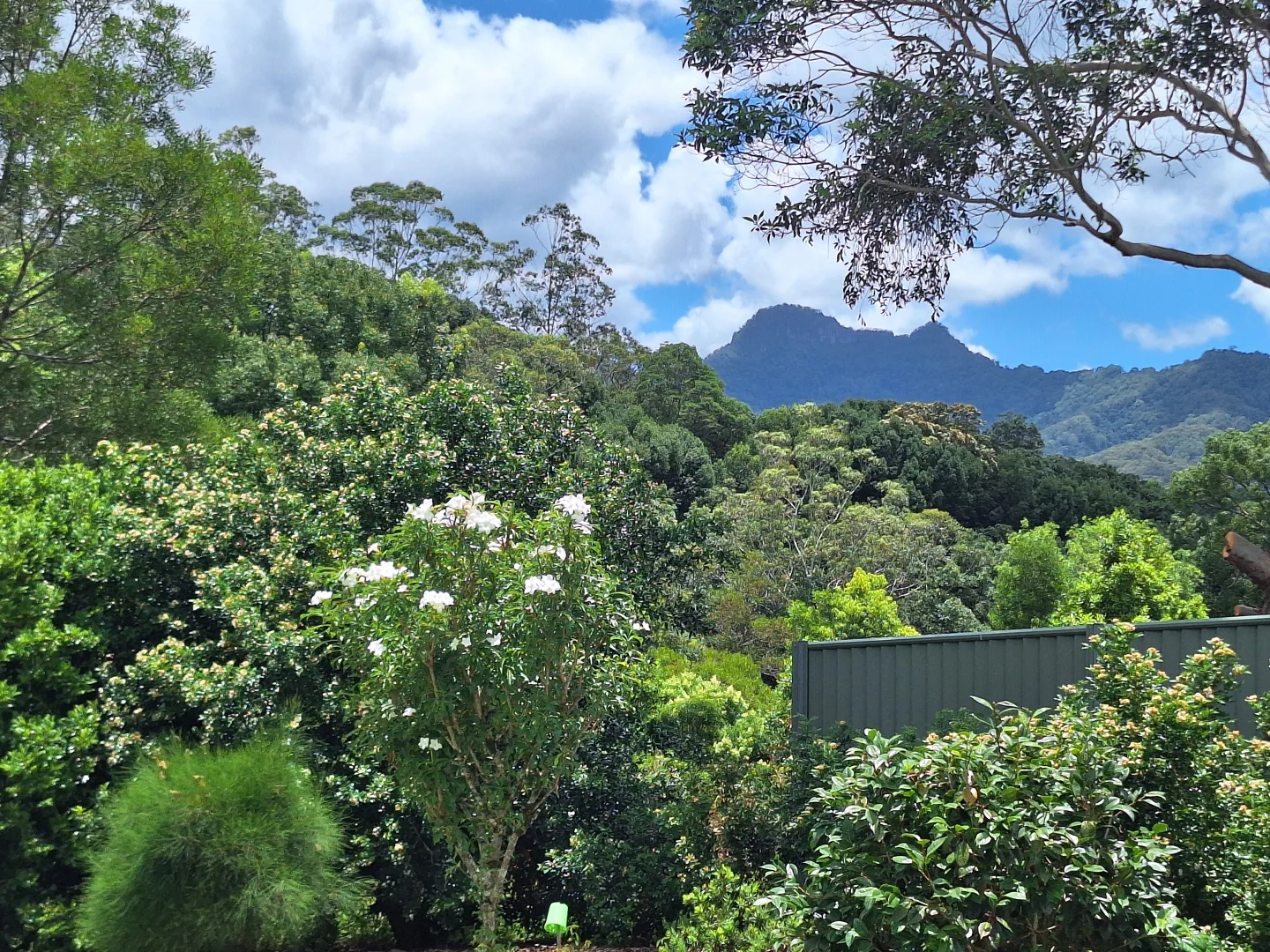 Additional image 13 of 291 Upper Crystal Creek Road, Crystal Creek NSW 2484