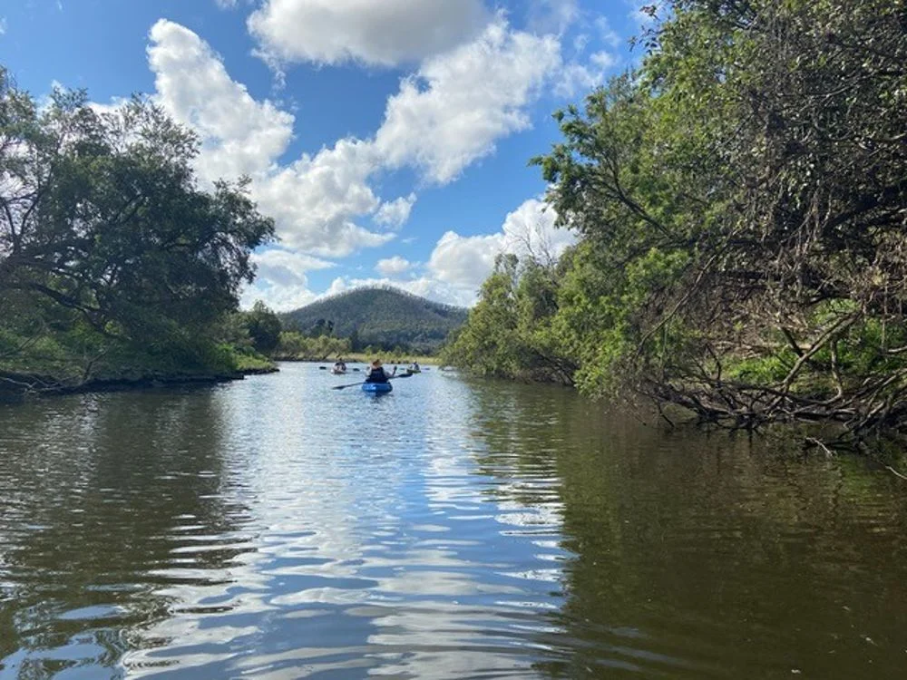 Additional image 3 of 800 Toms Gully Rd, Hickeys Creek NSW 2440
