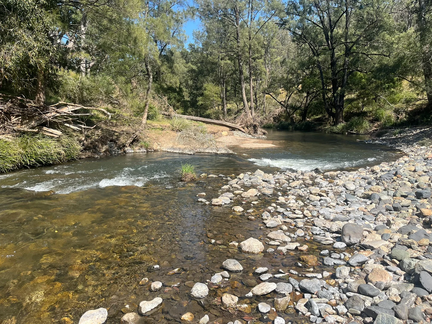 Additional image 5 of 638 Tops Road, Nowendoc NSW 2354