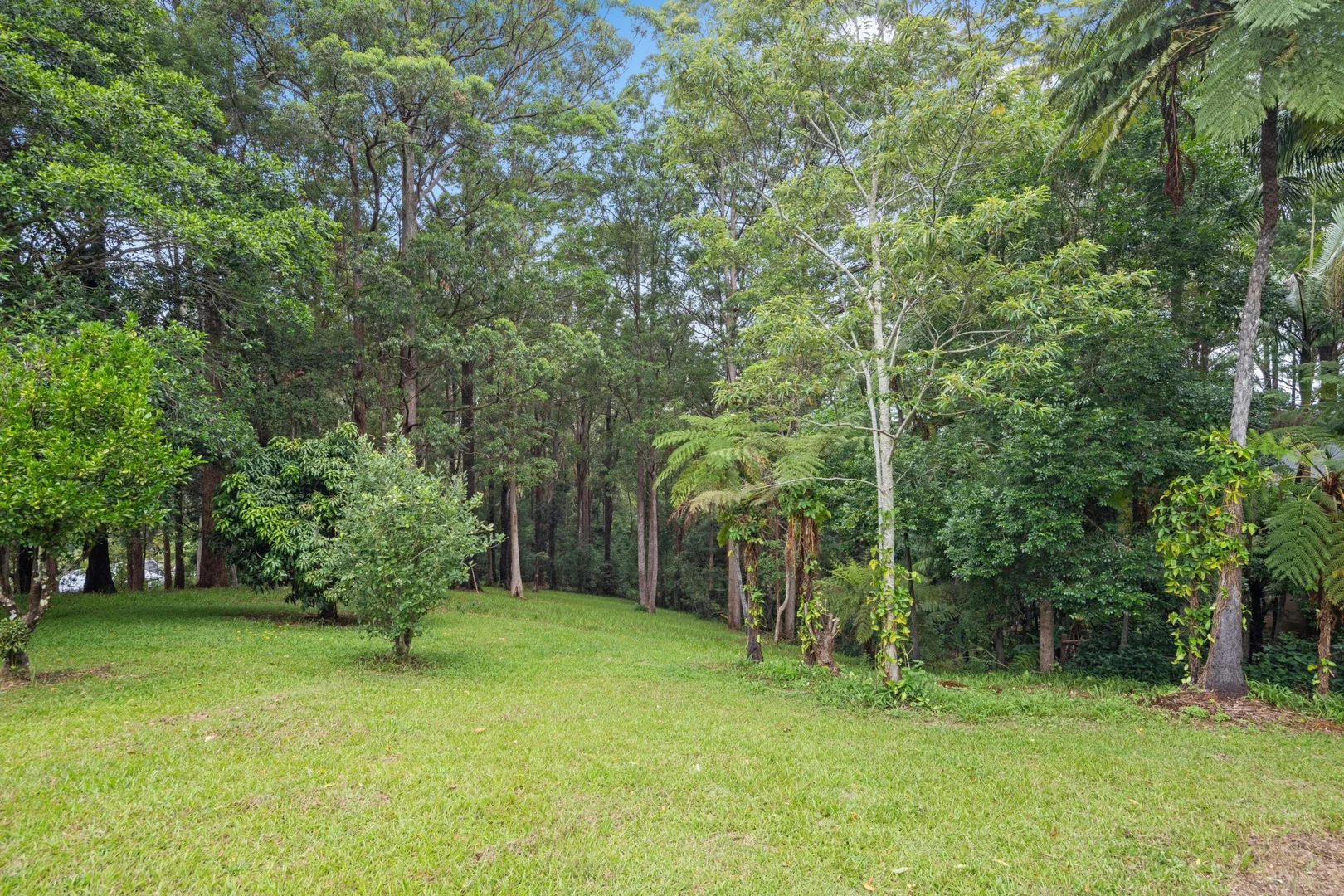 Additional image 13 of 98 Tuckers Rock Road, Repton NSW 2454