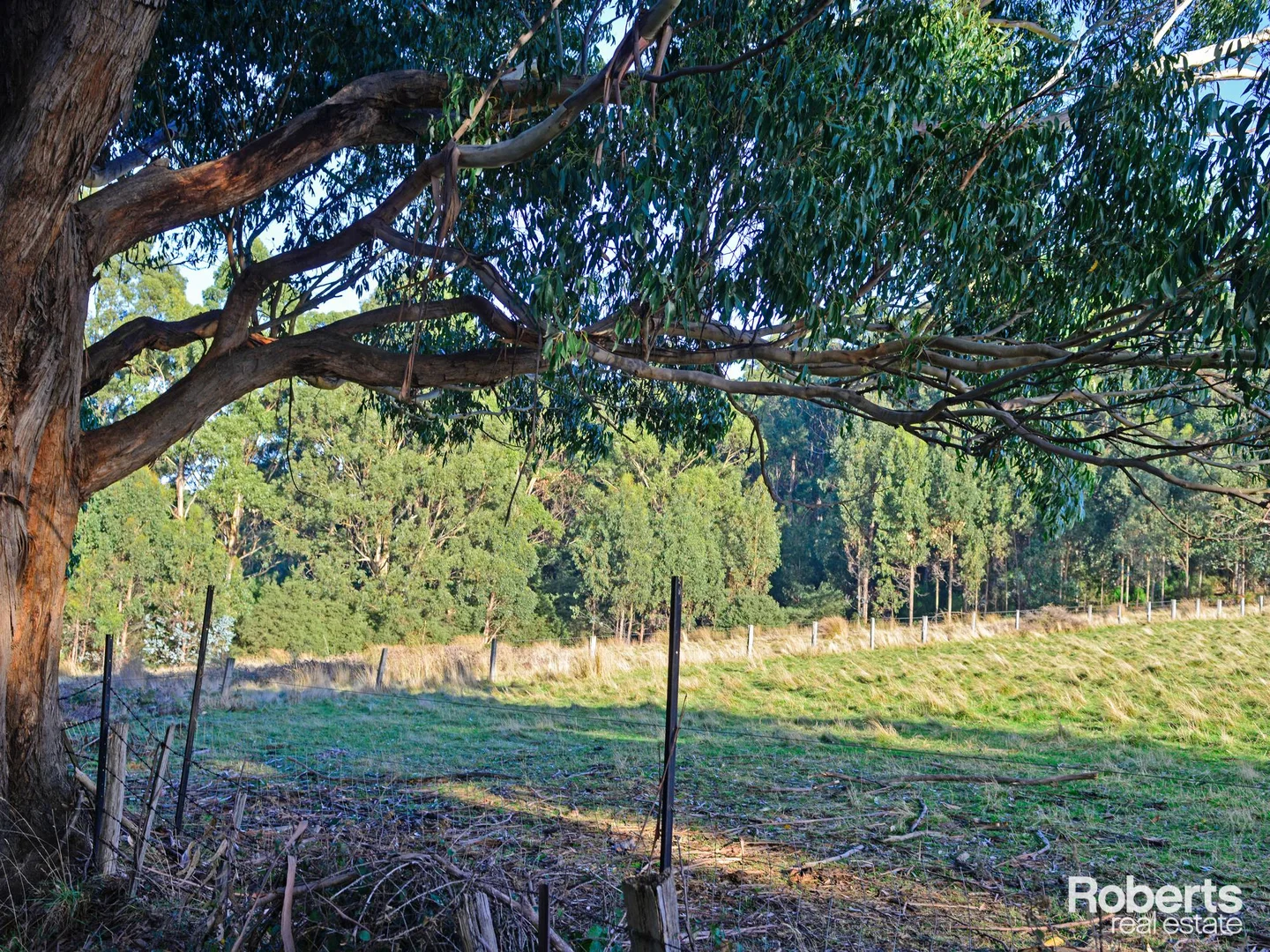 Additional image 10 of Lot 1 Lady Bay Road, Southport TAS 7109