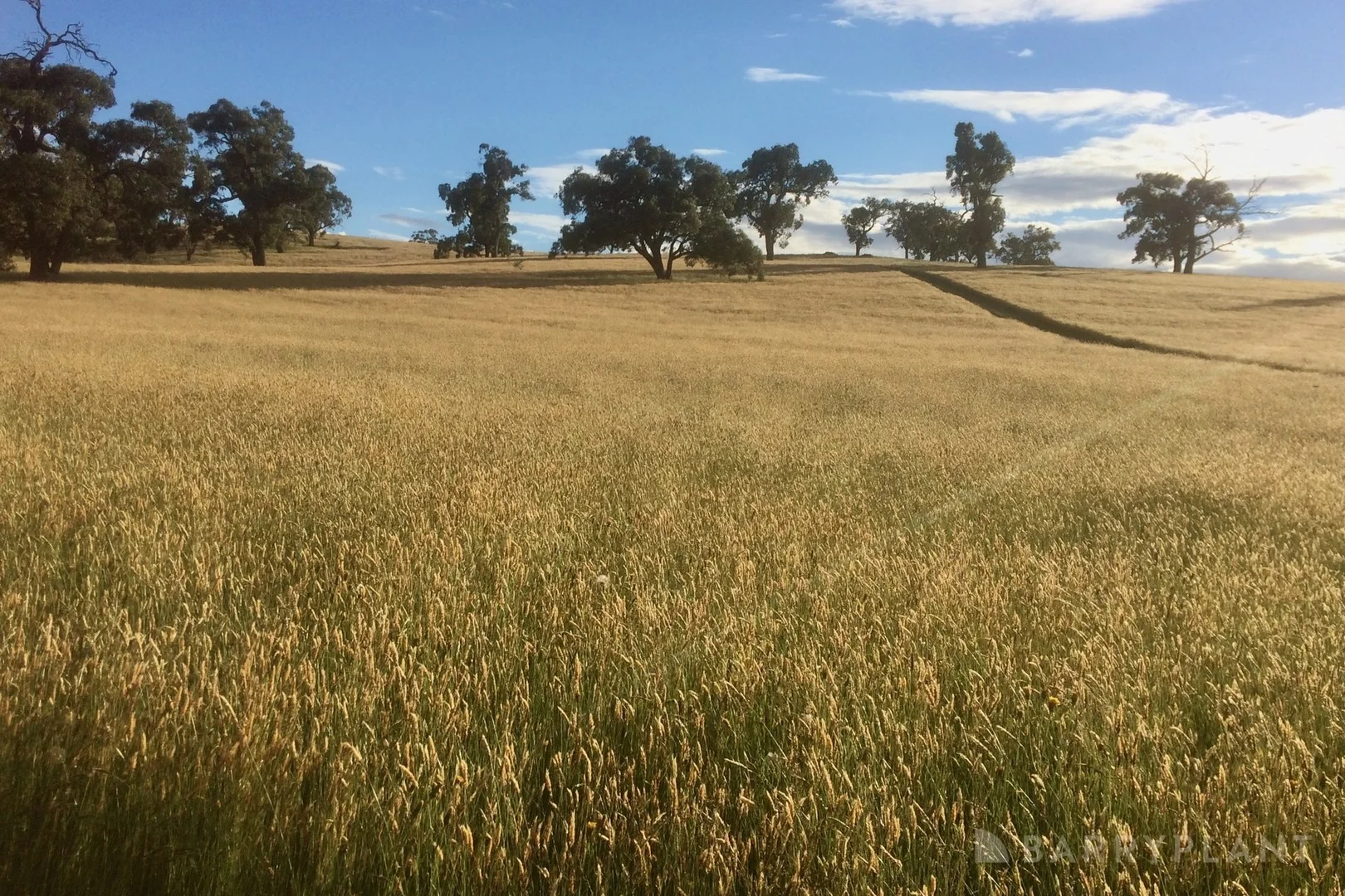 Additional image 2 of 450 Sheepstation Creek Road, Yellingbo VIC 3139