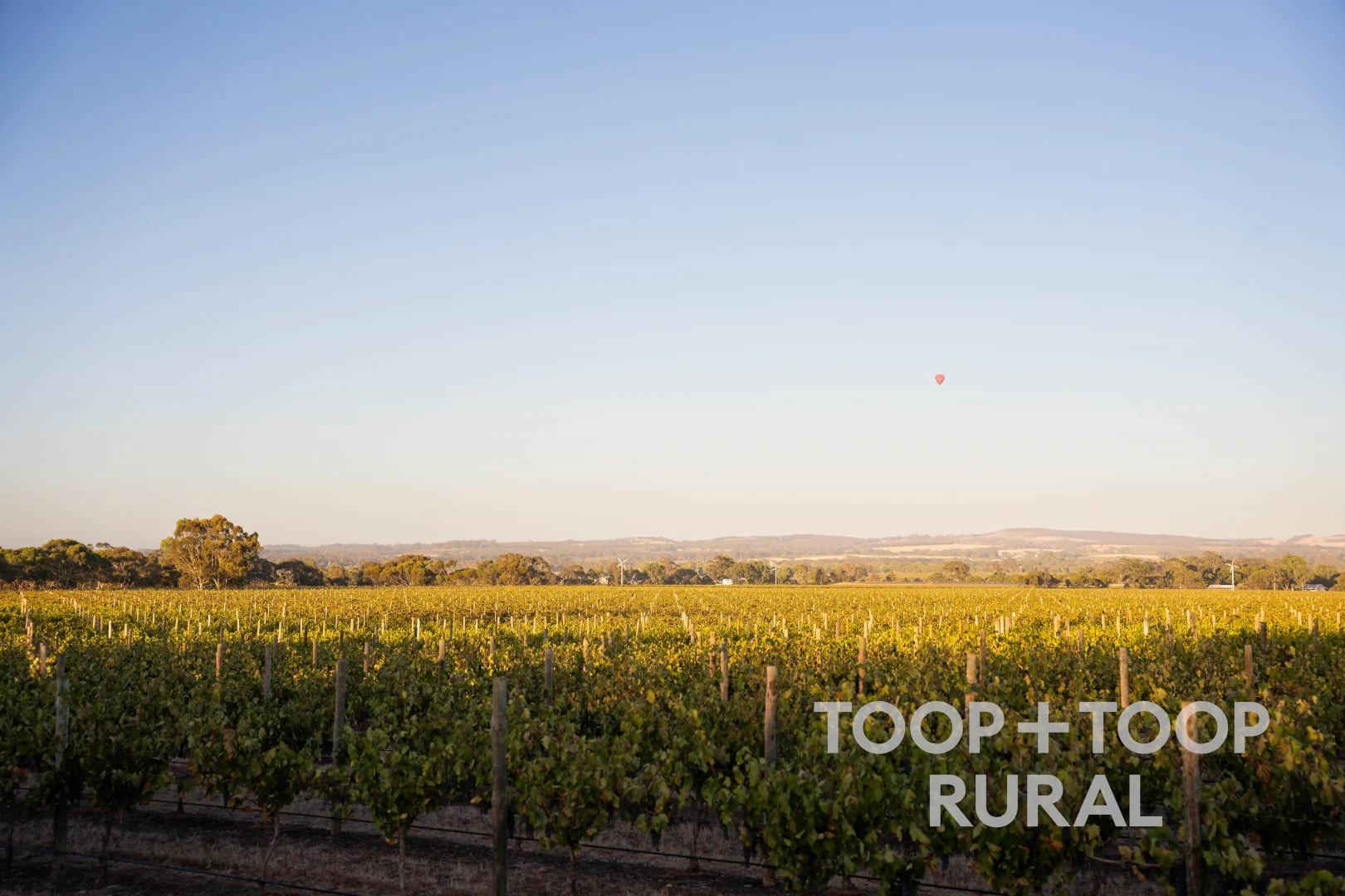 Additional image 20 of 1404 Research Road, Ebenezer SA 5355